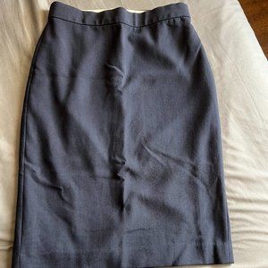 Ann Taylor Skirt (Size 0)